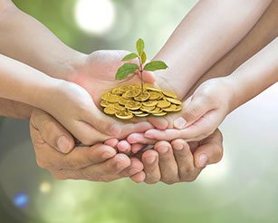 Hands holding coins with a seedling